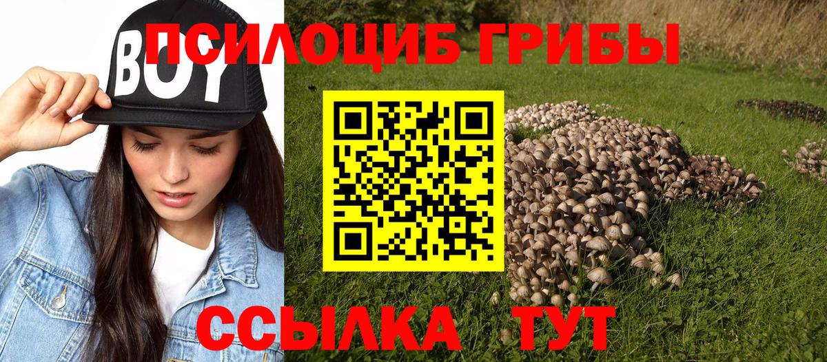 Великие Луки  Галлюциногенные грибы ЛСД  Вход с VPN 